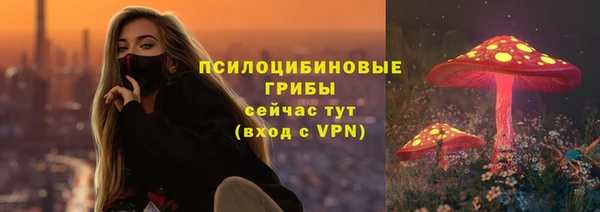 бошки Баксан