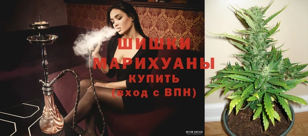 гидропоника Балахна